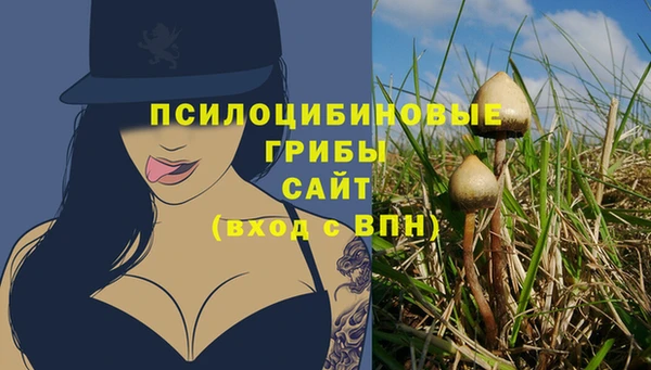 ГАЛЛЮЦИНОГЕННЫЕ ГРИБЫ Алексеевка