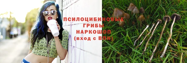 каннабис Алзамай
