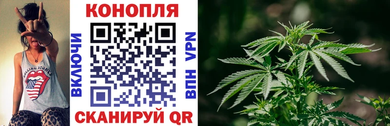 Бошки Шишки семена гидра сайт Жирновск где купить наркоту